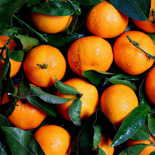 Unlock Your Inner Glow: The Magic of Sweet Orange Essential Oil.. - Husk & Seed