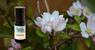 Breathe Easy: The Power of Botanical Relief with Our Decongestant Duo