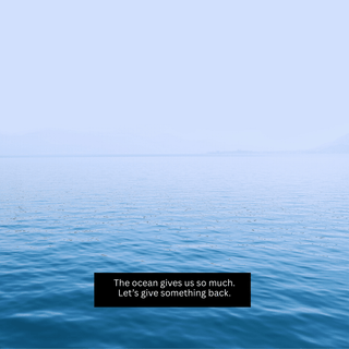 Blue Beauty for Sensitive Skin | Husk & Seed's Ocean-Safe, Waterless Skincare - Husk & Seed