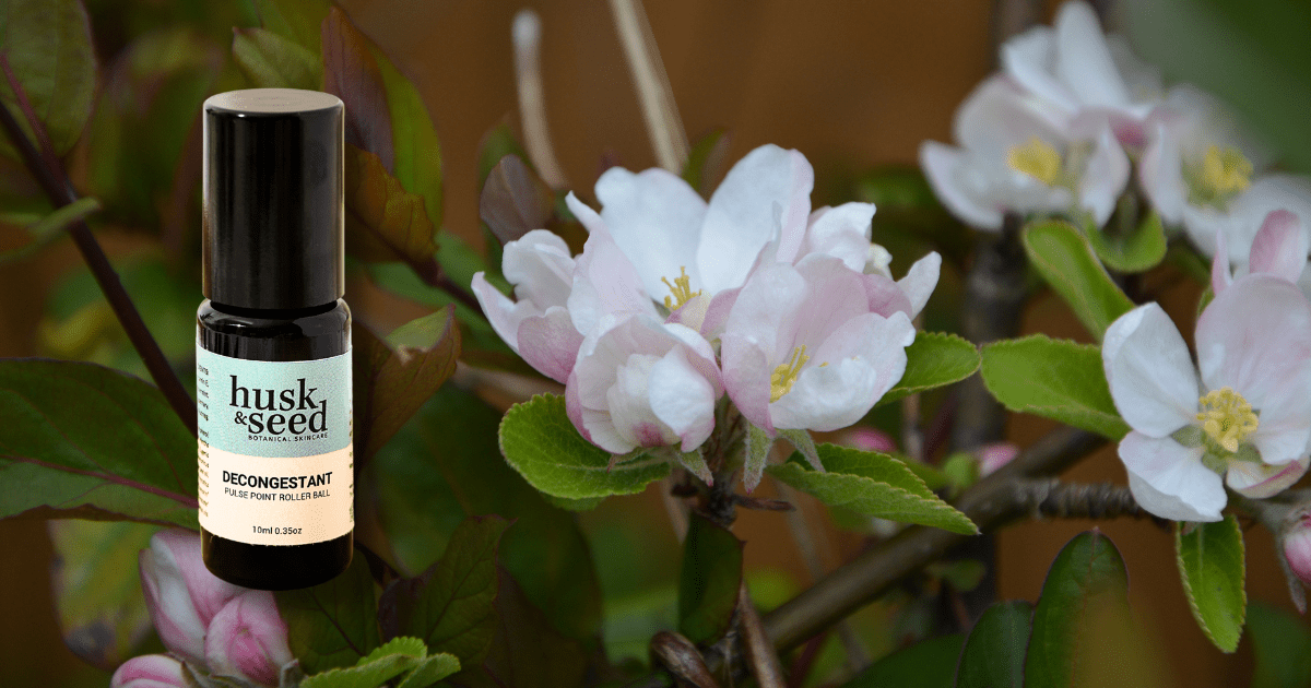 Breathe Easy: The Power of Botanical Relief with Our Decongestant Duo - Husk & Seed