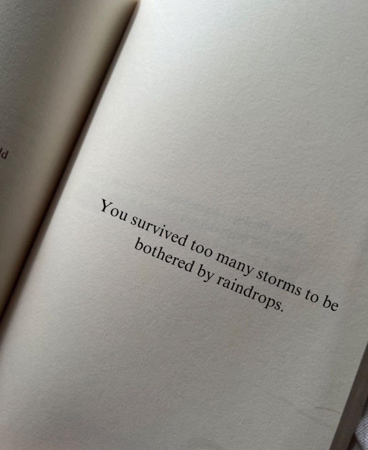 Finding Solace in Softness: How Natural Skincare Can Help During Challenging Times. - Husk & Seed