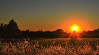 Skincare in the Summer - How You Should Adapt Your Routine - Husk & Seed