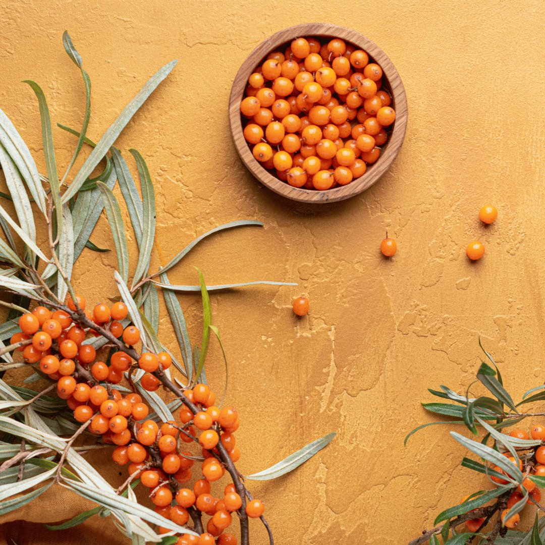 Why plant-based skincare is the key to a healthy acid mantle and glowing skin! - Husk & Seed