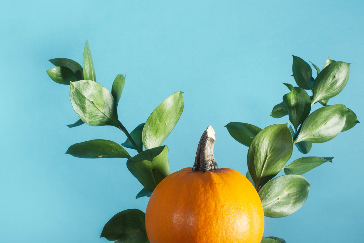 A small orange pumpkin with green leaves behind