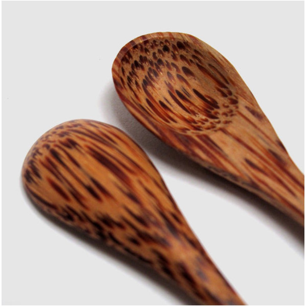 Mini Coconut Spoon Set of 2
